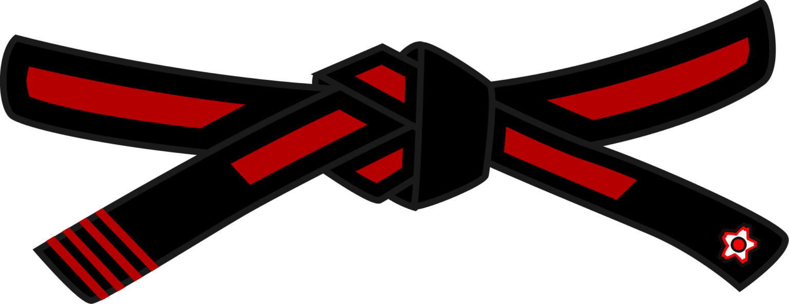 Belt System Kyushin Ryu Jujitsu