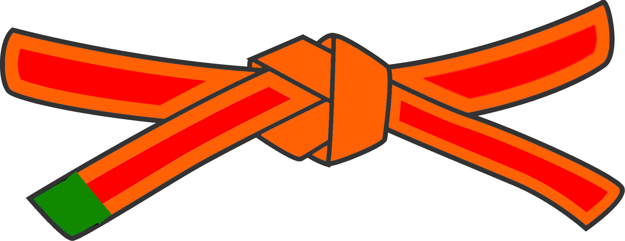 Belt System Kyushin Ryu Jujitsu