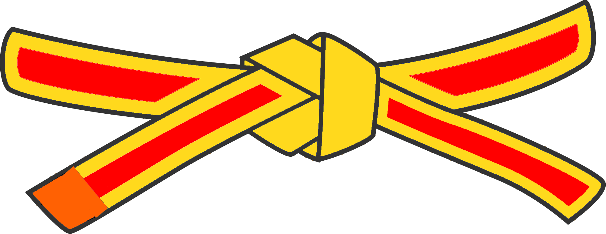 Belt System Kyushin Ryu Jujitsu